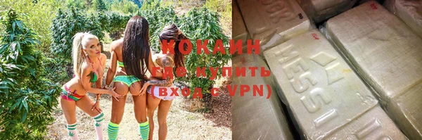mix Бородино