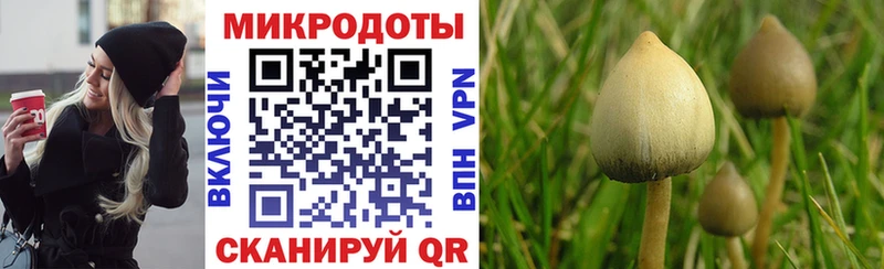 Псилоцибиновые грибы Magic Shrooms Дальнегорск